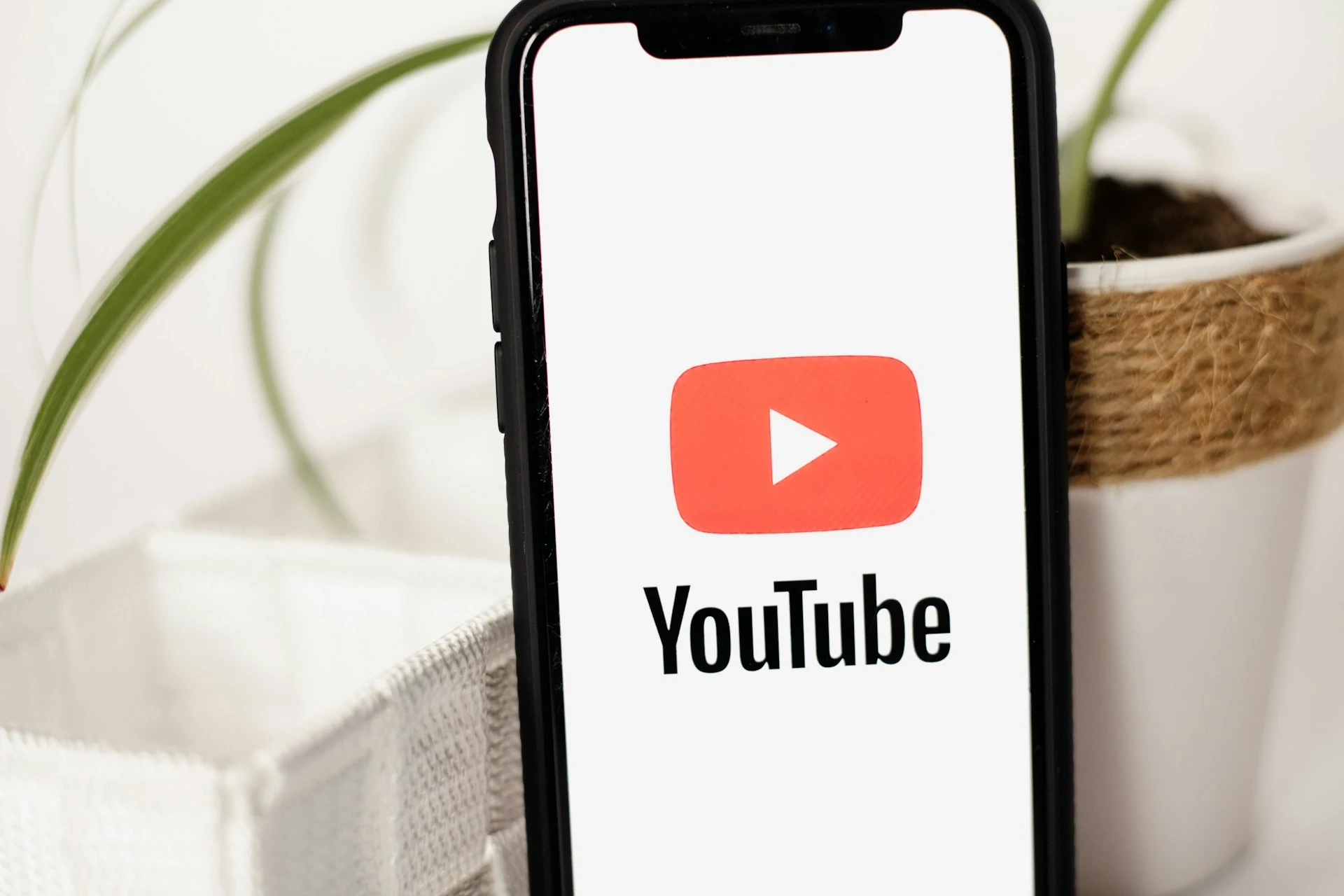 YouTube тестирует радиофункцию на базе AI и запускает инструмент поиска по звуку